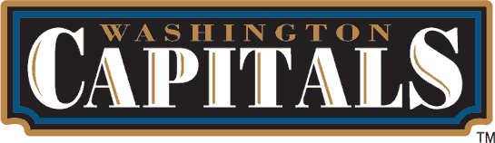 Washington Capitals 1995-2007 Wordmark Logo fabric transfer